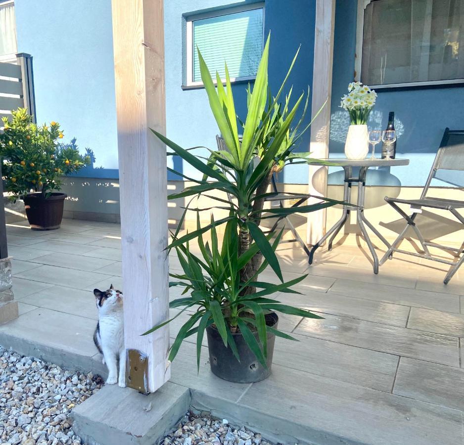 Kisvakond Vendeghaz Apartment Jeno ภายนอก รูปภาพ